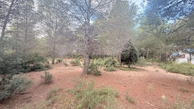 Terrain à Bâtir à vendre à Albalat dels Tarongers - 179 000 € (Ref: 9411068)