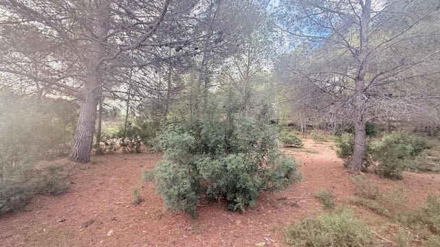 Terrain à Bâtir à vendre à Albalat dels Tarongers - 179 000 € (Ref: 9411068)