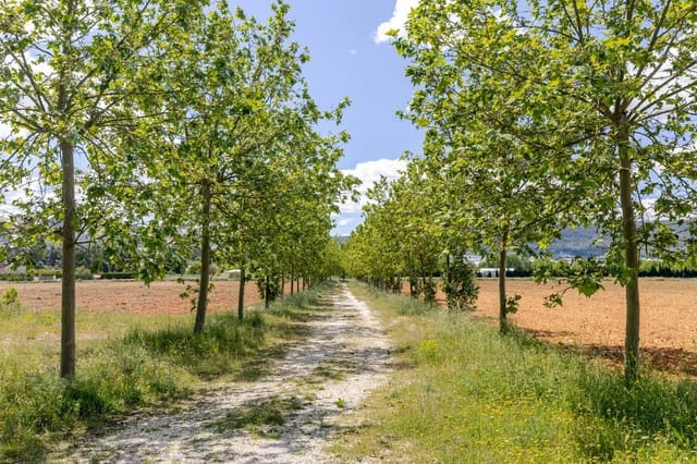 18 Zimmer Finca/Landgut zu verkaufen in Bocairent mit Garage - 1.000.000 € (Ref: 10067890)