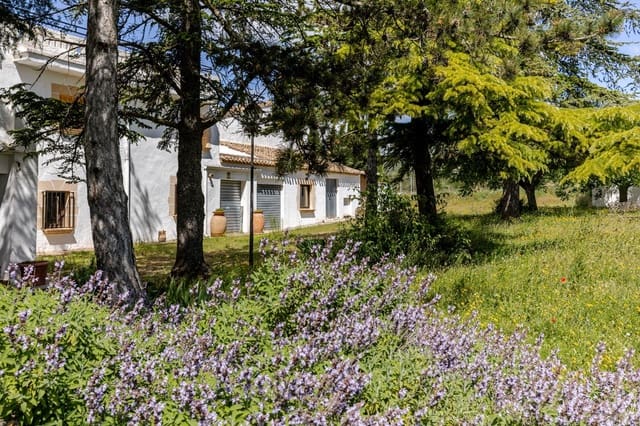 18 Zimmer Finca/Landgut zu verkaufen in Bocairent mit Garage - 1.000.000 € (Ref: 10067890)