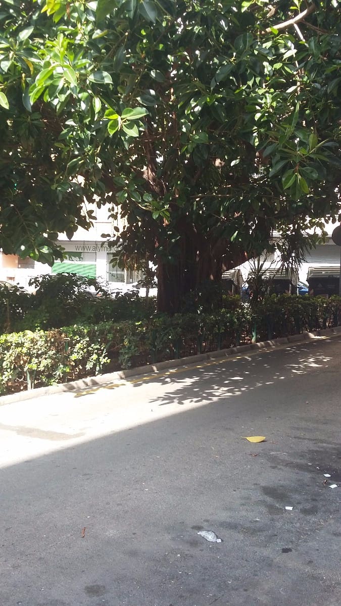 Local Commercial à vendre à Valence ville - 130 000 € (Ref: 9396291)