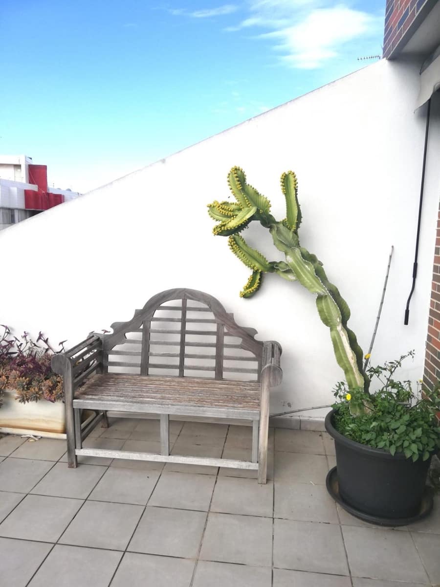 4 soverom Penthouse til leie i Valencia by - € 1 950 (Ref: 9556086)