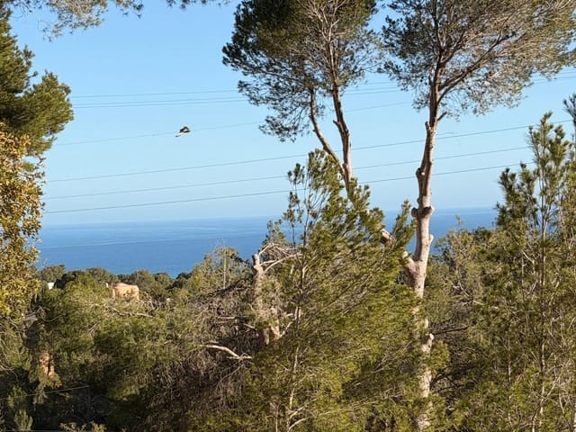 Building Plot for sale in Galera de las Palmeras, Altea - € 250,000 (Ref: 9747804)