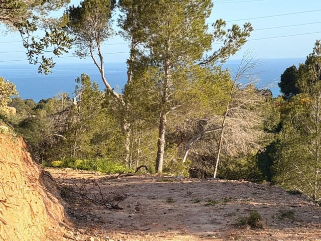Building Plot for sale in Galera de las Palmeras, Altea - € 250,000 (Ref: 9747804)