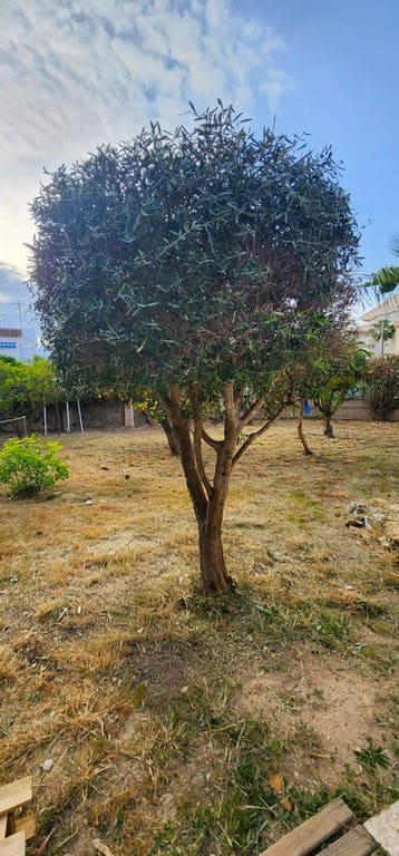 3 bedroom Villa for sale in Albir - € 525,000 (Ref: 10012274)