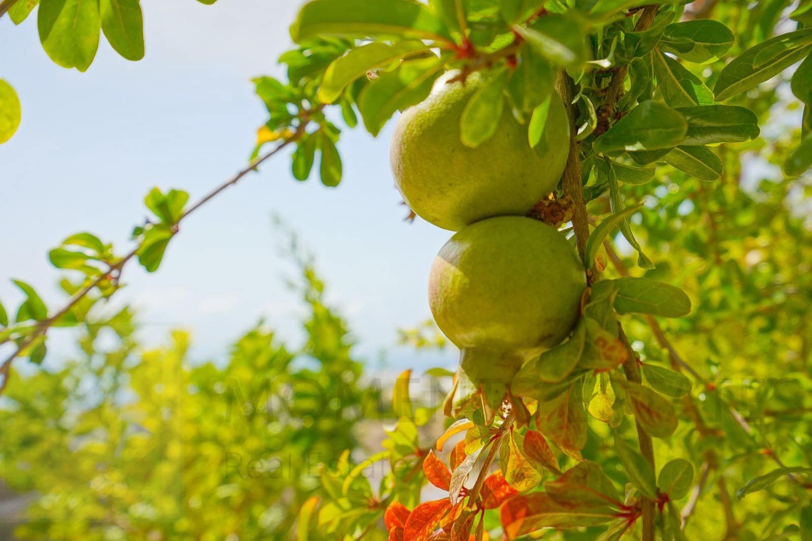 3 slaapkamer Villa te koop in Benitachell / Benitatxell - € 715.000 (Ref: 8389488)