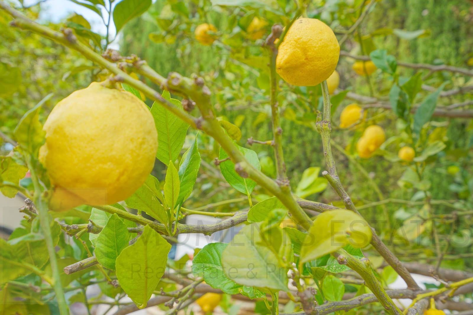 3 slaapkamer Villa te koop in Benitachell / Benitatxell - € 715.000 (Ref: 8389488)