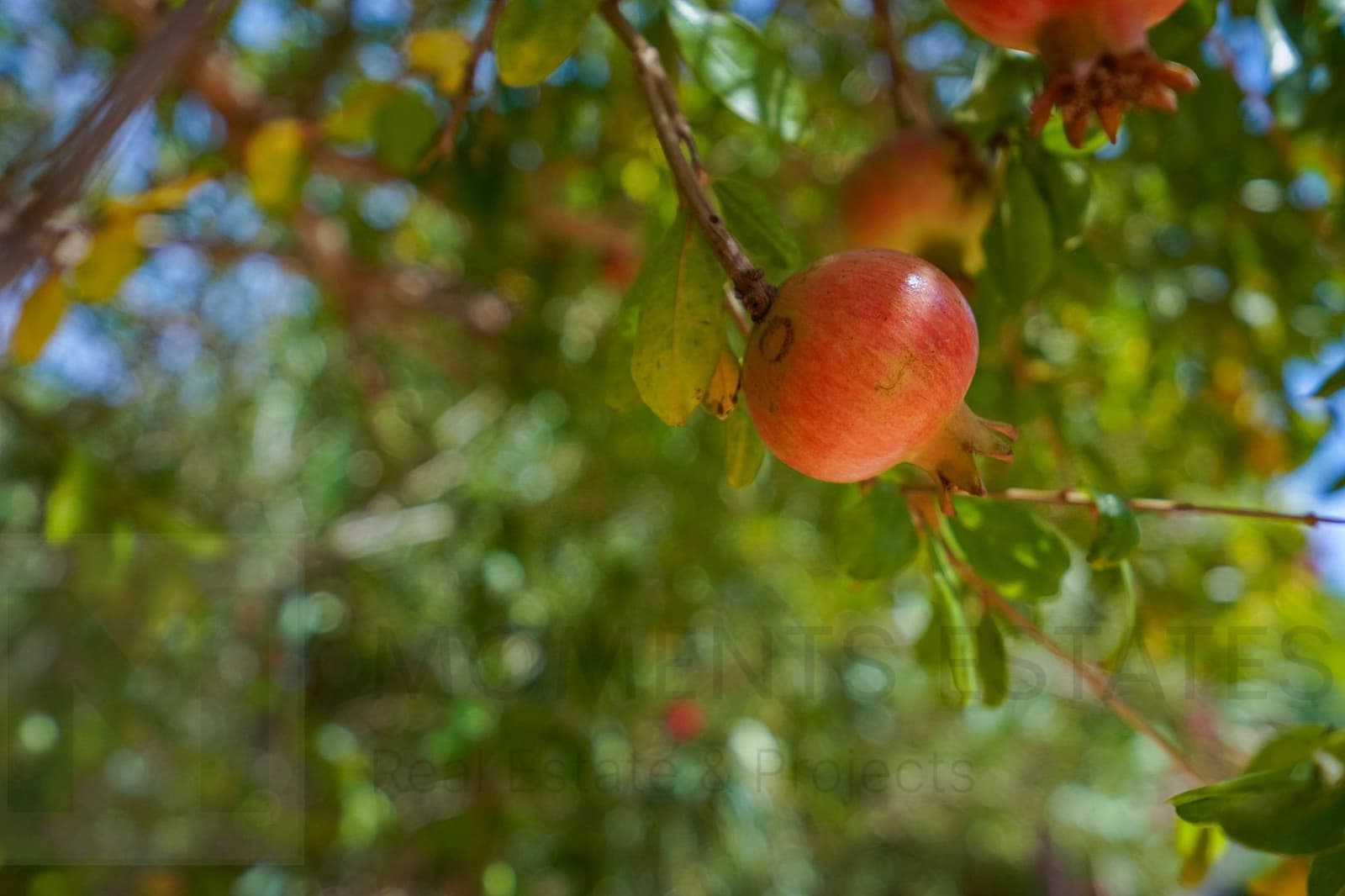 3 bedroom Villa for sale in Javea / Xabia - € 599,000 (Ref: 9220370)