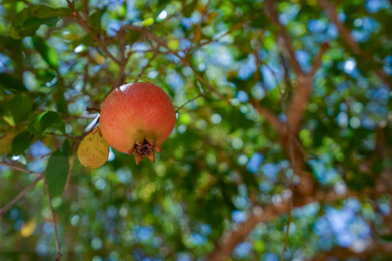 3 bedroom Villa for sale in Javea / Xabia - € 599,000 (Ref: 9220370)