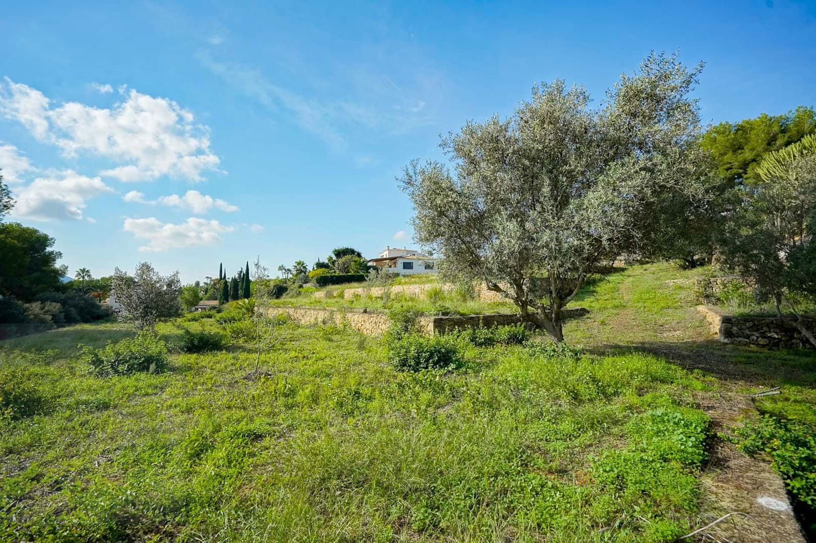 3 chambre Villa/Maison à vendre à Javea / Xabia - 2 500 000 € (Ref: 9441966)