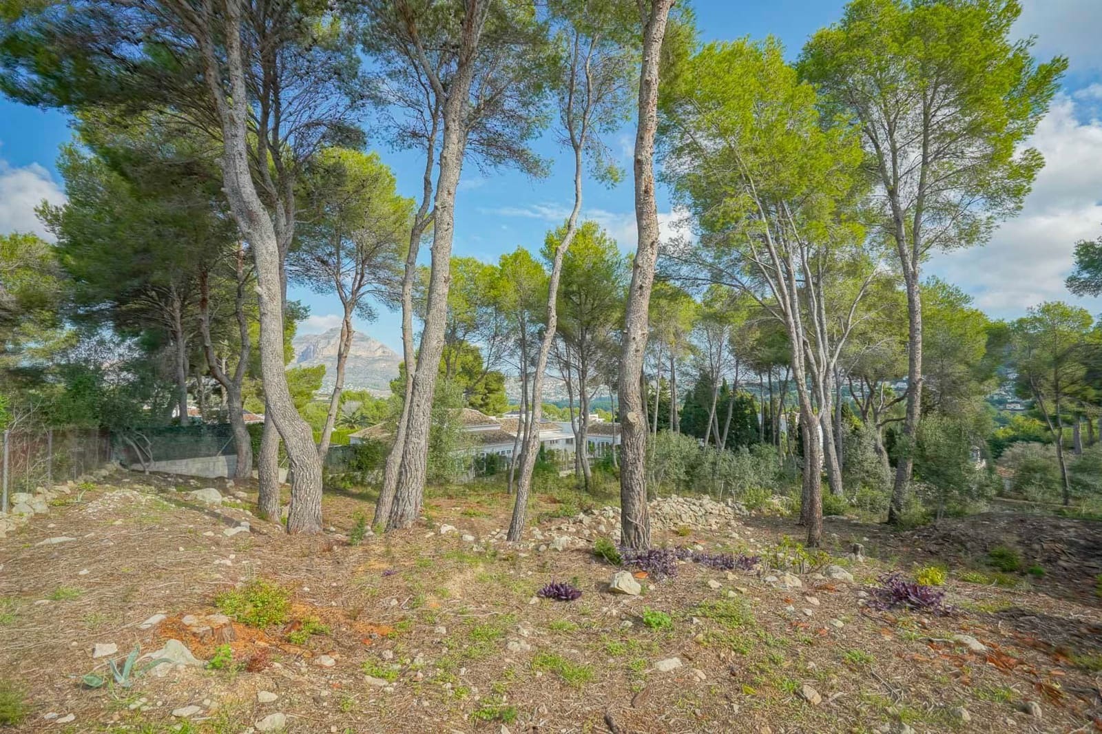 3 chambre Villa/Maison à vendre à Javea / Xabia - 2 500 000 € (Ref: 9441966)