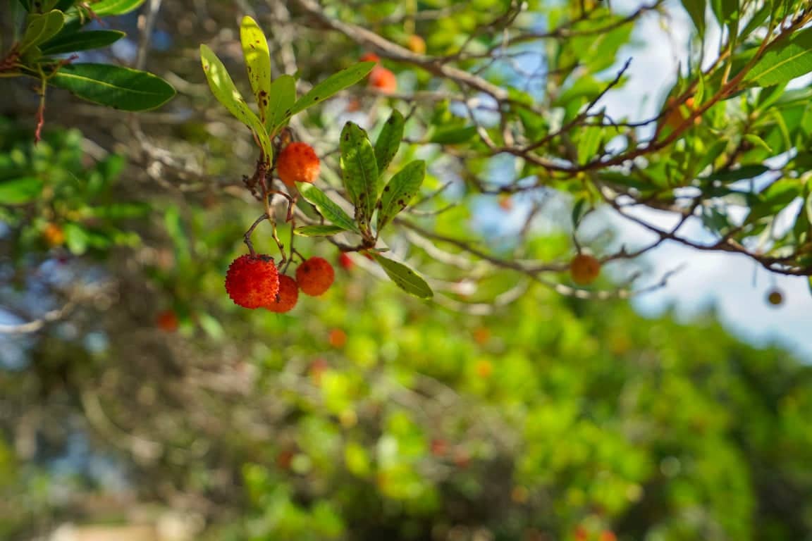 3 bedroom Villa for sale in Javea / Xabia - € 2,500,000 (Ref: 9441966)