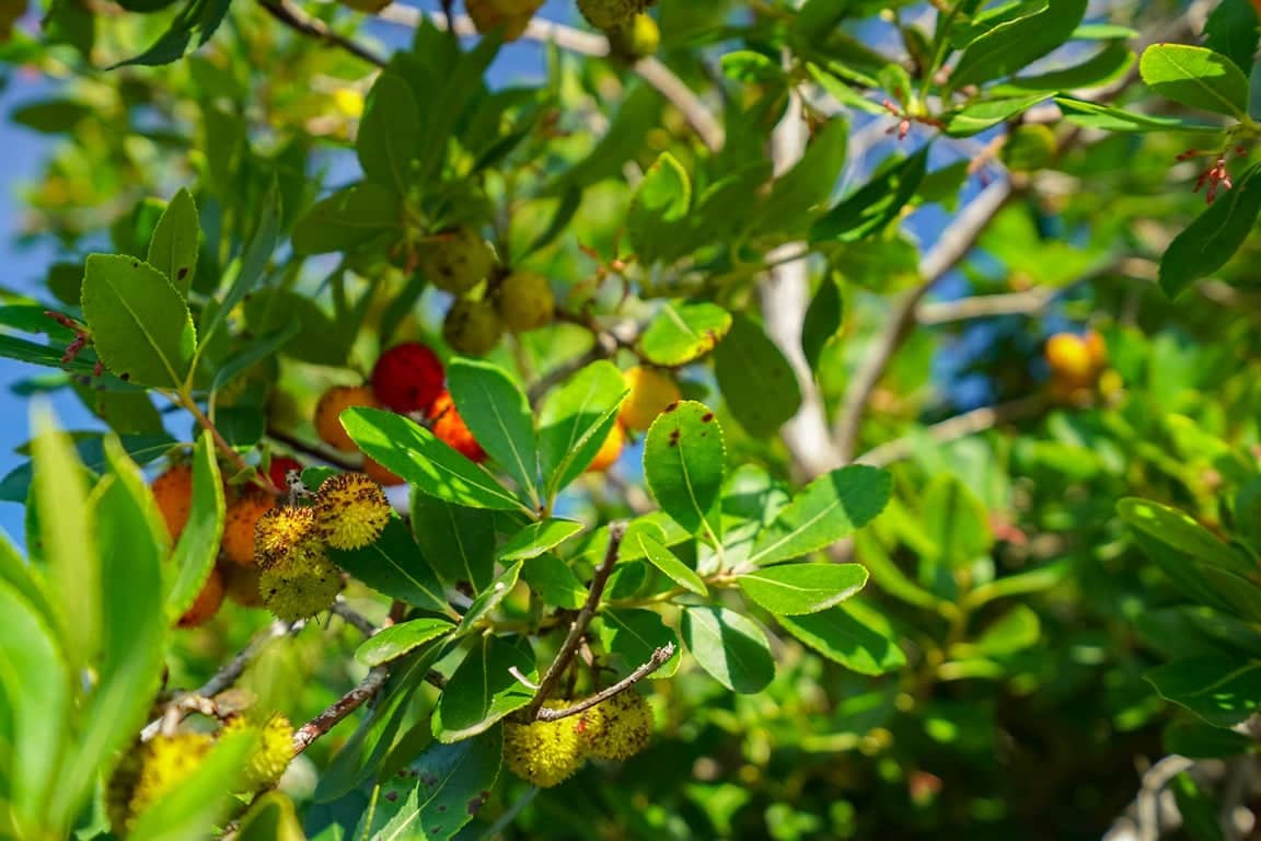 3 bedroom Villa for sale in Javea / Xabia - € 2,500,000 (Ref: 9441966)