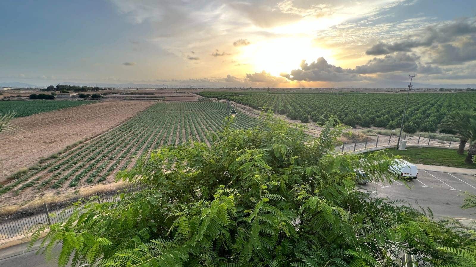 2 Zimmer Penthouse zu verkaufen in Roldan mit Pool - 119.500 € (Ref: 9543775)