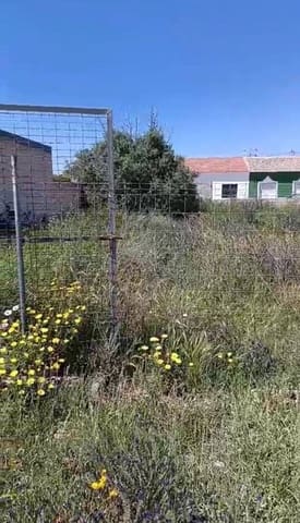 Solar/Parcela en San Pedro del Pinatar en venta - 110.000 € (Ref: 9831873)