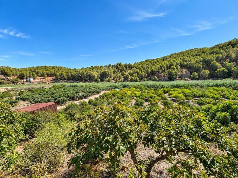 2 Zimmer Finca/Landgut zu verkaufen in Altea la Vella mit Garage - 285.000 € (Ref: 10098285)