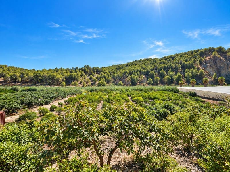 2 Zimmer Finca/Landgut zu verkaufen in Altea la Vella mit Garage - 285.000 € (Ref: 10098285)