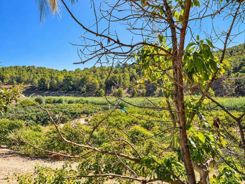 2 Zimmer Finca/Landgut zu verkaufen in Altea la Vella mit Garage - 285.000 € (Ref: 10098285)