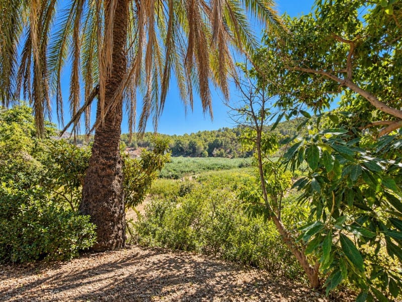 2 Zimmer Finca/Landgut zu verkaufen in Altea la Vella mit Garage - 285.000 € (Ref: 10098285)