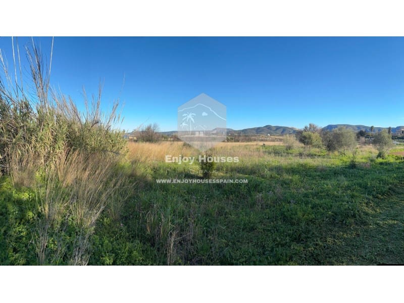 Terre non Aménagée à vendre à Jesus Pobre - 35 000 € (Ref: 8916978)