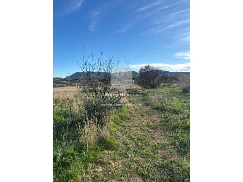 Terre non Aménagée à vendre à Jesus Pobre - 35 000 € (Ref: 8916978)