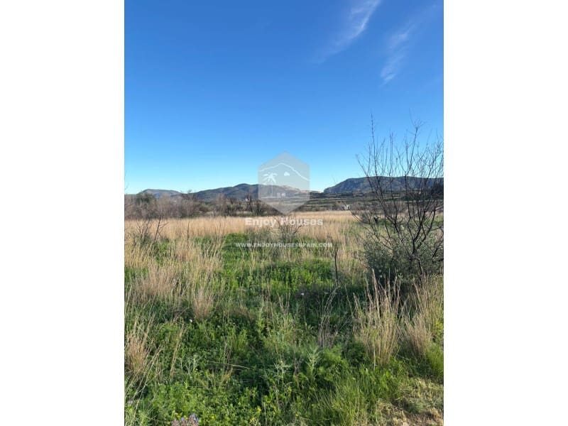 Terre non Aménagée à vendre à Jesus Pobre - 35 000 € (Ref: 8916978)