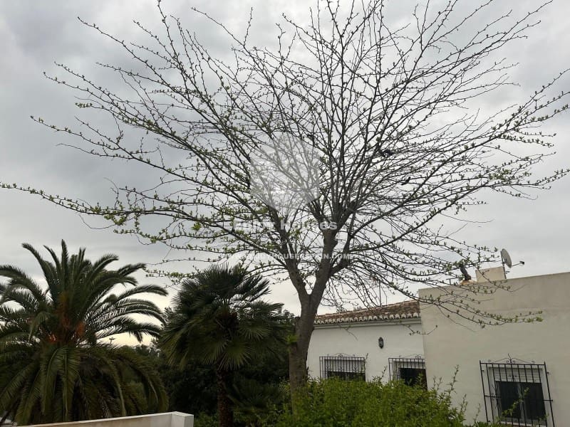 4 soverom Villa til salgs i Javea / Xabia - € 670 000 (Ref: 8959858)