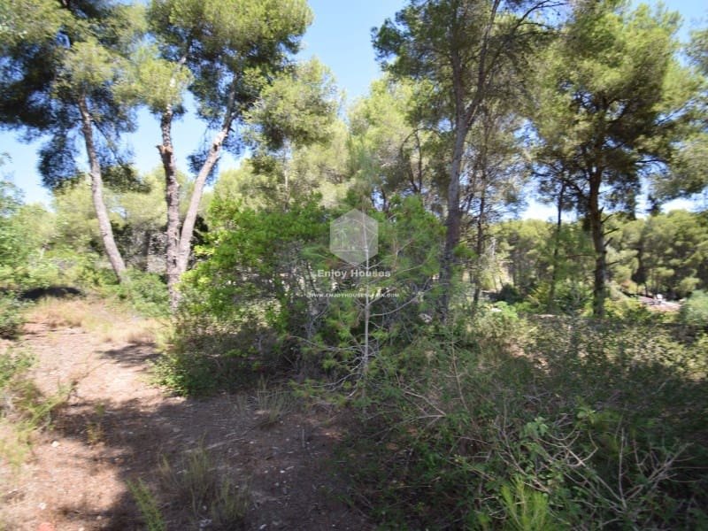 Undeveloped Land for sale in Javea / Xabia - € 240,000 (Ref: 9177984)