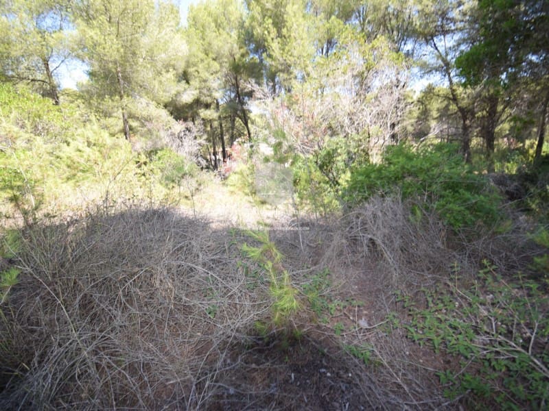 Undeveloped Land for sale in Javea / Xabia - € 240,000 (Ref: 9177984)