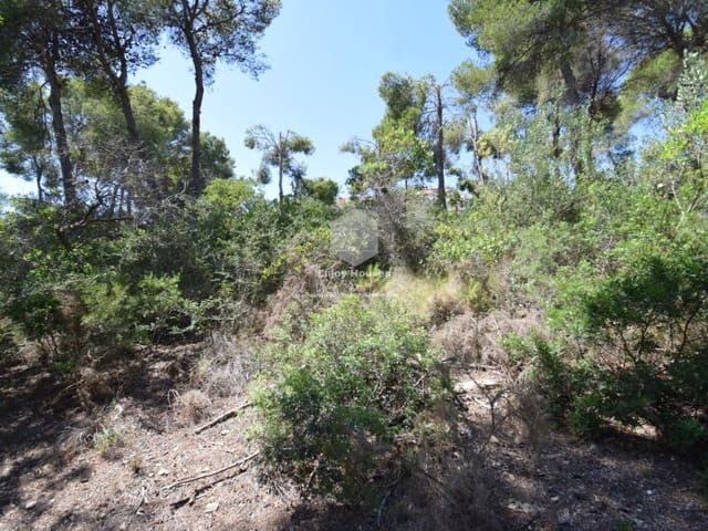 Undeveloped Land for sale in Partides comunes - Adsubia, Javea / Xàbia - € 240,000 (Ref: 9177984)