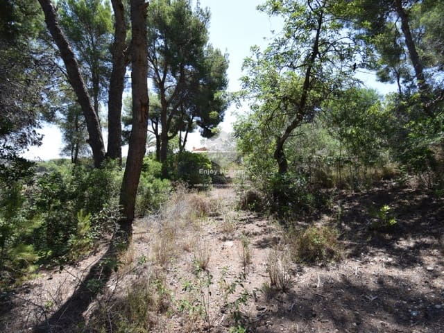 Undeveloped Land for sale in Partides comunes - Adsubia, Javea / Xàbia - € 240,000 (Ref: 9177984)