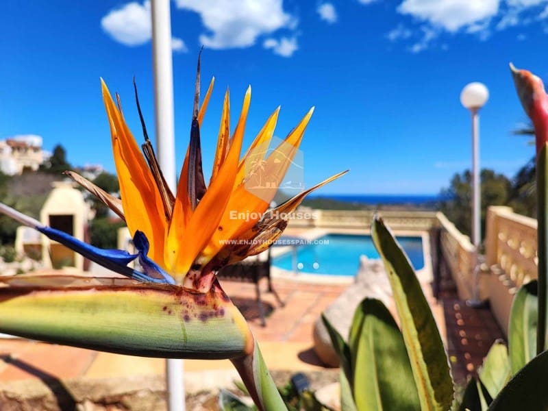 3 bedroom Villa for sale in Cumbre del Sol - € 450,000 (Ref: 9272558)