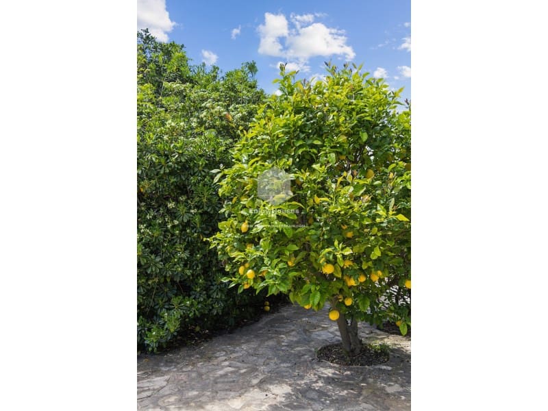 8 bedroom Villa for sale in Javea / Xabia with pool - € 1,590,000 (Ref: 9421687)