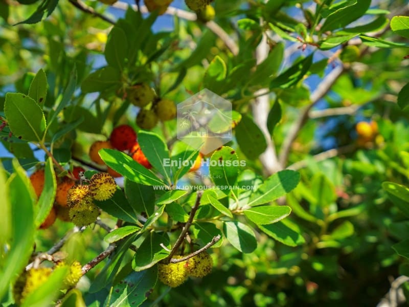 3 sypialnia Willa na sprzedaż w Javea / Xabia - 899 000 € (Ref: 9465621)