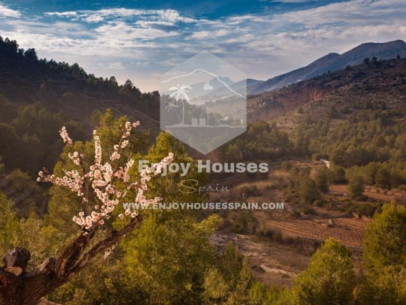 16 soverom Hotell til salgs i Lliber - € 4 000 000 (Ref: 9518080)