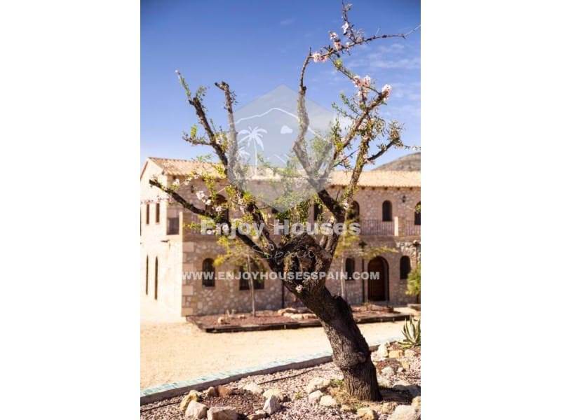 16 soverom Hotell til salgs i Lliber - € 4 000 000 (Ref: 9518080)