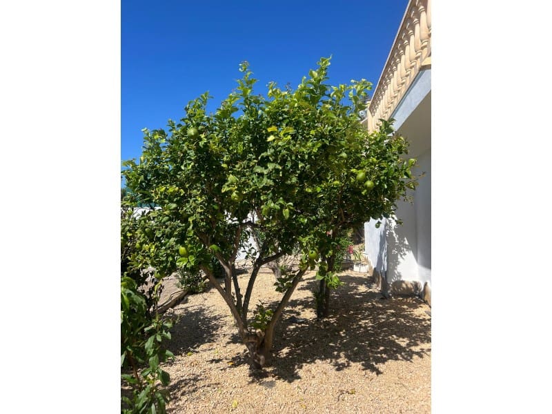 4 Zimmer Villa zu verkaufen in Moraira mit Garage - 1.565.000 € (Ref: 9529136)