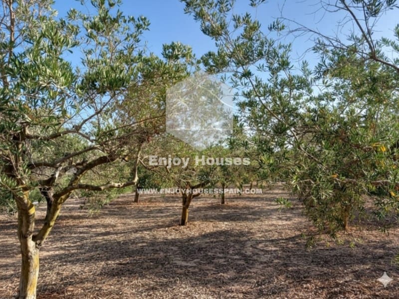 3 sovrum Villa till salu i Teulada - 530 000 € (Ref: 9575422)