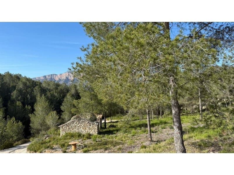 5 bedroom Finca/Country House for sale in Javea / Xabia - € 1,550,000 (Ref: 9731909)