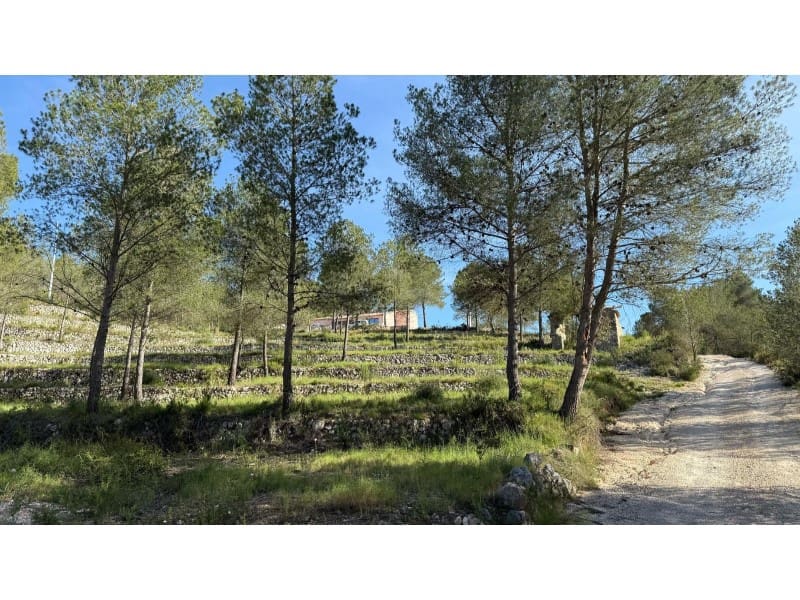 5 bedroom Finca/Country House for sale in Javea / Xabia - € 1,550,000 (Ref: 9731909)