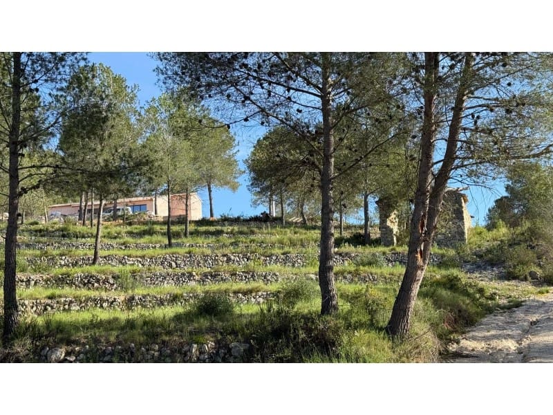 5 bedroom Finca/Country House for sale in Javea / Xabia - € 1,550,000 (Ref: 9731909)