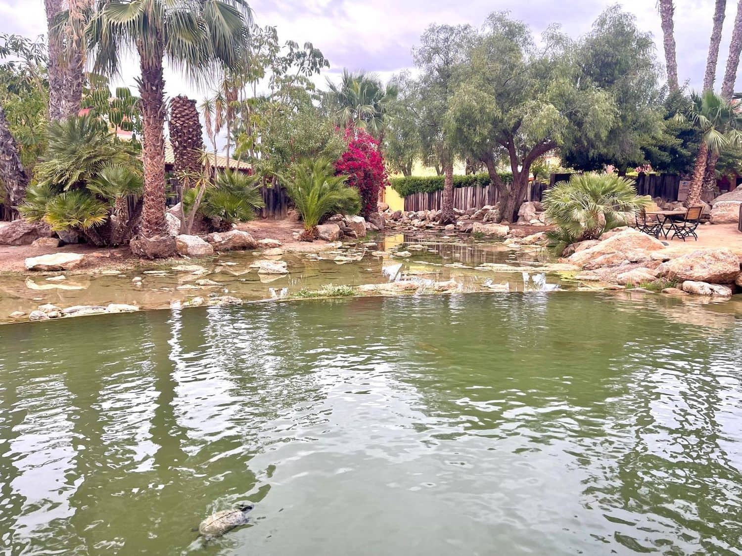 2 bedroom Villa for sale in Desert Springs - € 290,000 (Ref: 8545827)