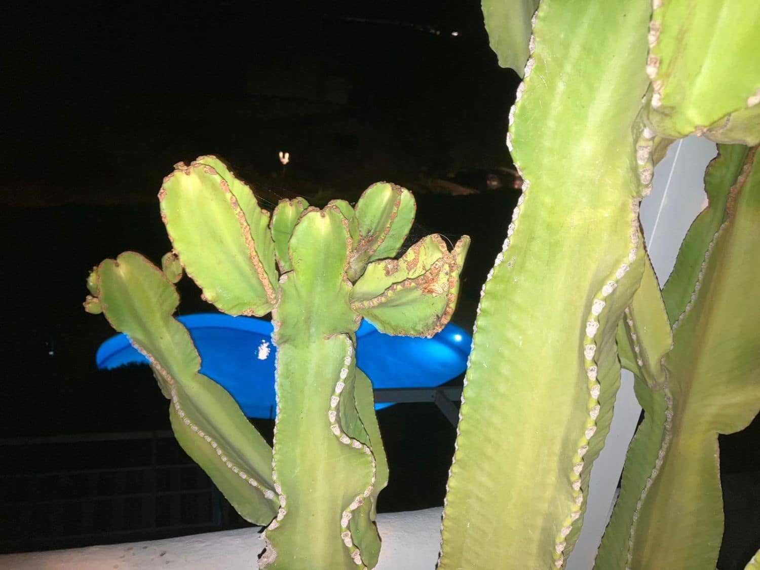 2 camera da letto Appartamento in vendita in Mojacar con garage - 219.900 € (Rif: 9220331)