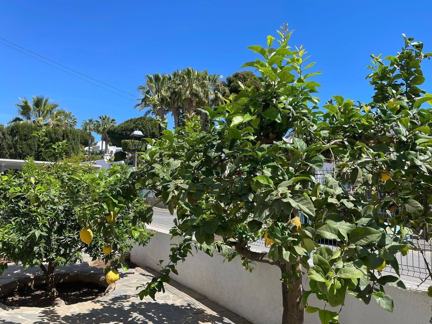 5 soverom Villa til salgs i Mojacar - € 450 000 (Ref: 9866708)