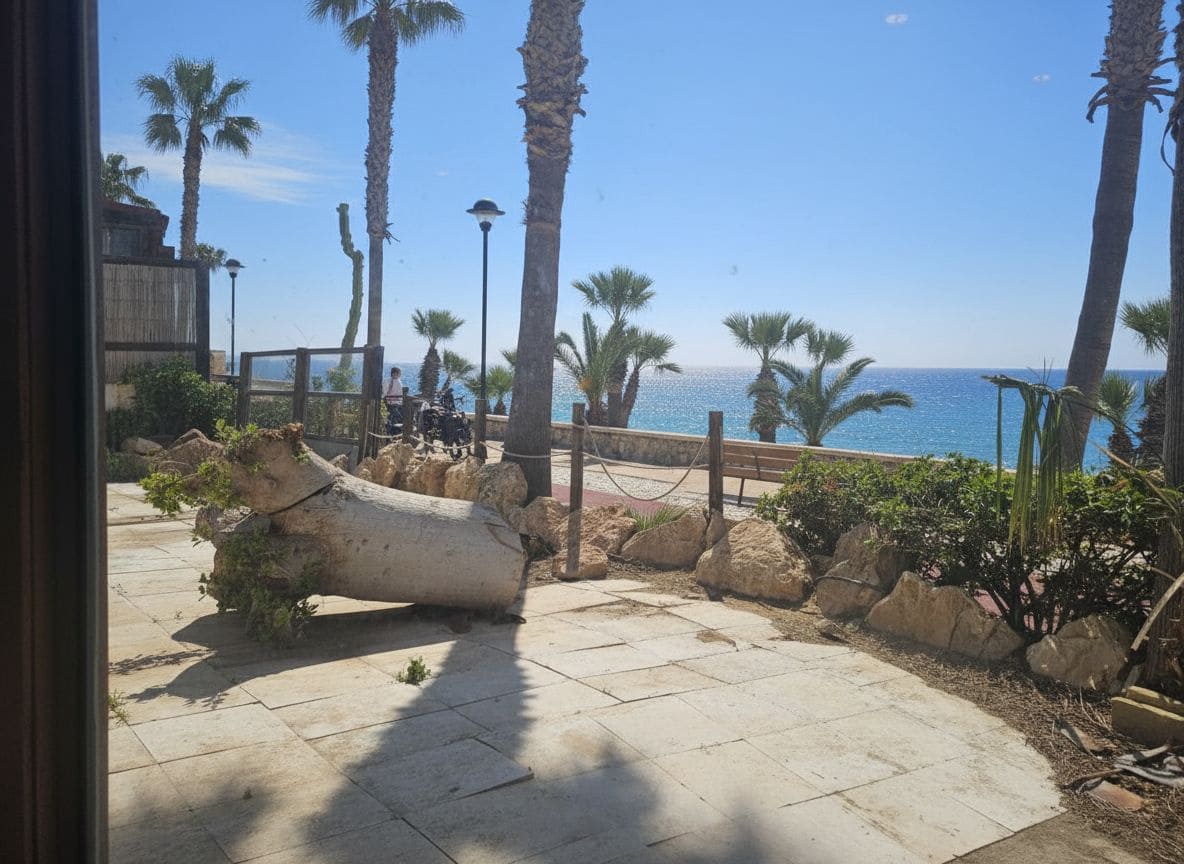 Restaurant/Bar til salgs i Mojacar - € 1 999 000 (Ref: 9986462)