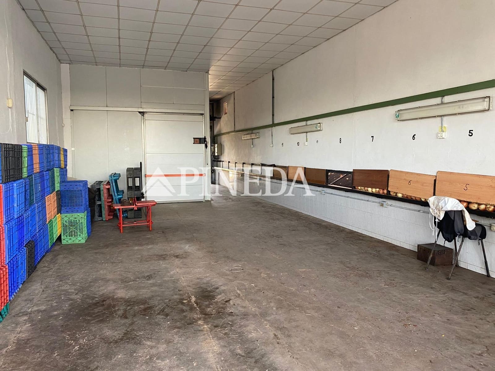 Mark till salu i Puig - 195 000 € (Ref: 8615351)