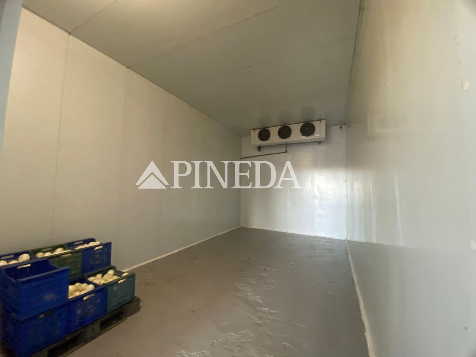 Mark till salu i Puig - 195 000 € (Ref: 8615351)