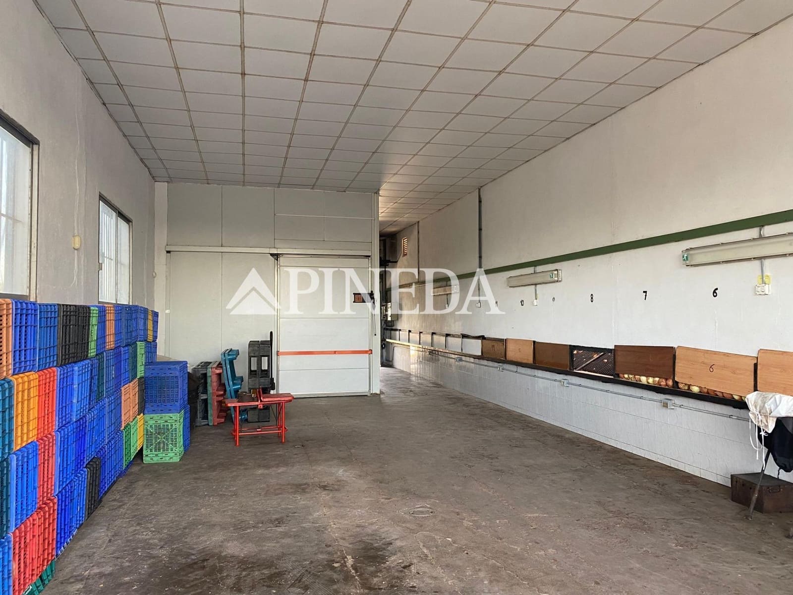 Mark till salu i Puig - 195 000 € (Ref: 8615351)