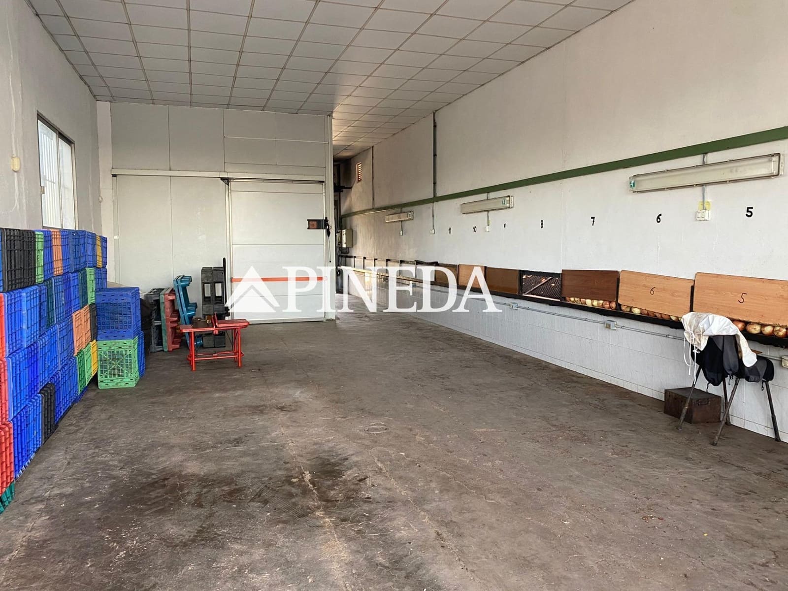 Undeveloped Land for sale in Puig - € 195,000 (Ref: 8615351)