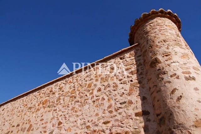 Business for sale in Puçol - € 300,000 (Ref: 8642318)